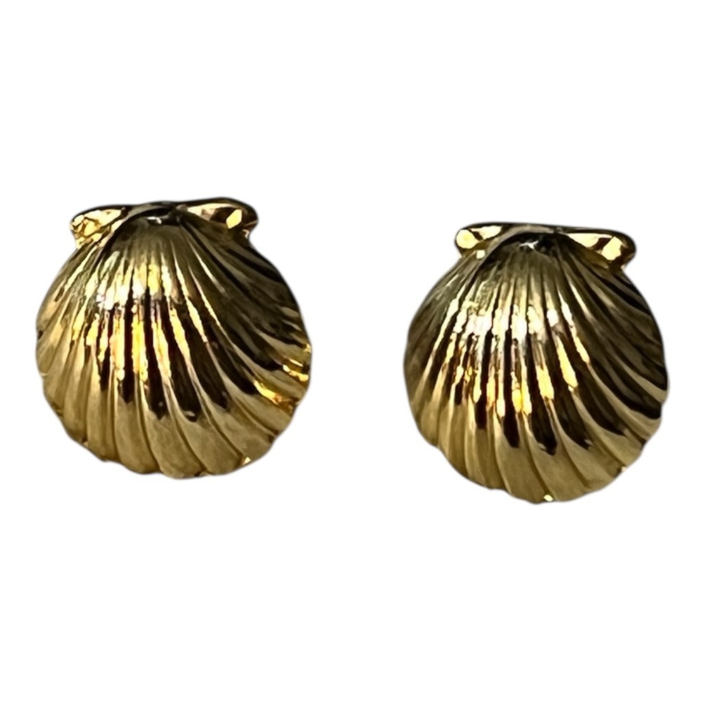 Beautiful Gold Shell Earrings